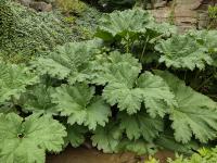 /home//u458753944/public_html/sourcegallery//other/uk 2023/derbyshire/IMG_20230916_120807340_HDR.jpg